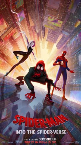 蜘蛛侠：平行宇宙 4K蓝光原盘下载+高清MKV版/ Spider-Man: a New Universe / 蜘蛛人：新宇宙(台) / 蜘蛛侠：平行世界 / 蜘蛛侠：新纪元 / 蜘蛛侠：跳入蜘蛛宇宙(港) 2018 Spider-Man: Into the Spider-Verse
